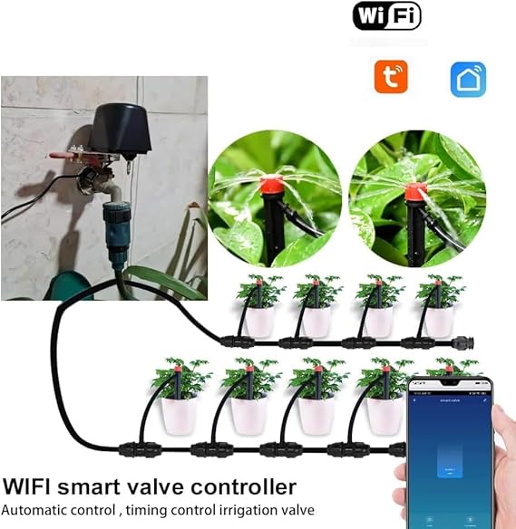 61YbM0-CcKL._AC_SX569_