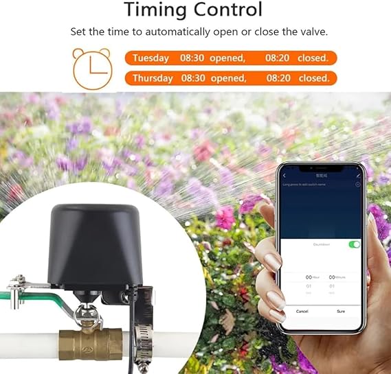 61nAGYNzO9L._AC_SX569_