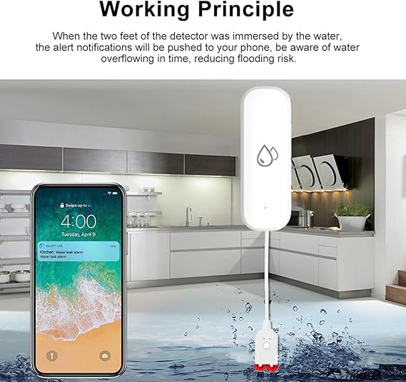 71mXNpDo+2L._AC_SX569_